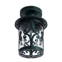Уличный потолочный светильник Arte Lamp PERSIA A1453PF-1BG