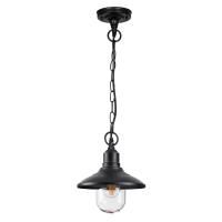 4965/1 NATURE ODL22 713 черный/стекло Ландшафтный подвес E27 1*60W IP44 CAMPA