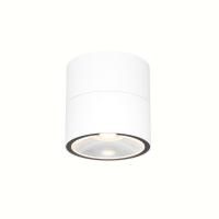 Уличный потолочный светильник Outdoor O310CL-L12W3K