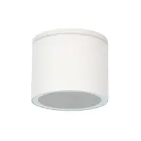 Уличный потолочный светильник Arte Lamp PIAUTOS A1913PF-1WH