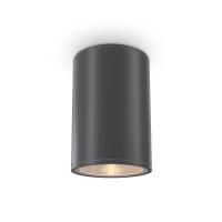 Уличный потолочный светильник Outdoor O306CL-L12GF