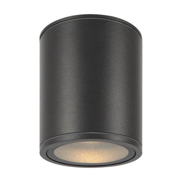Уличный потолочный светильник Outdoor O306CL-L12GF