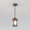 Уличный подвесной светильник Outdoor O031PL-01BR